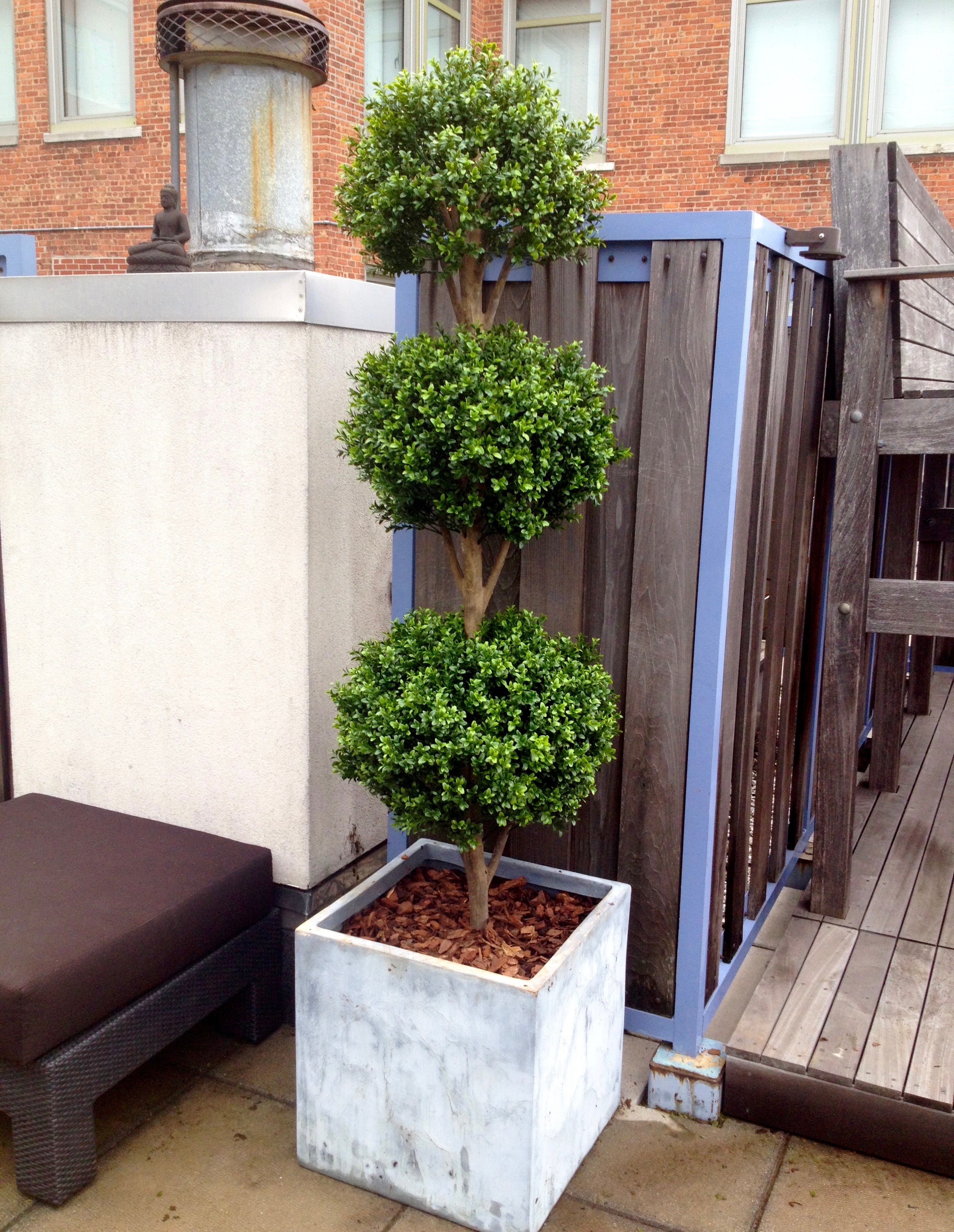 FAUX SHRUBS, TREES & FLOWERS Boxwoods, Vines, Succulents, etc